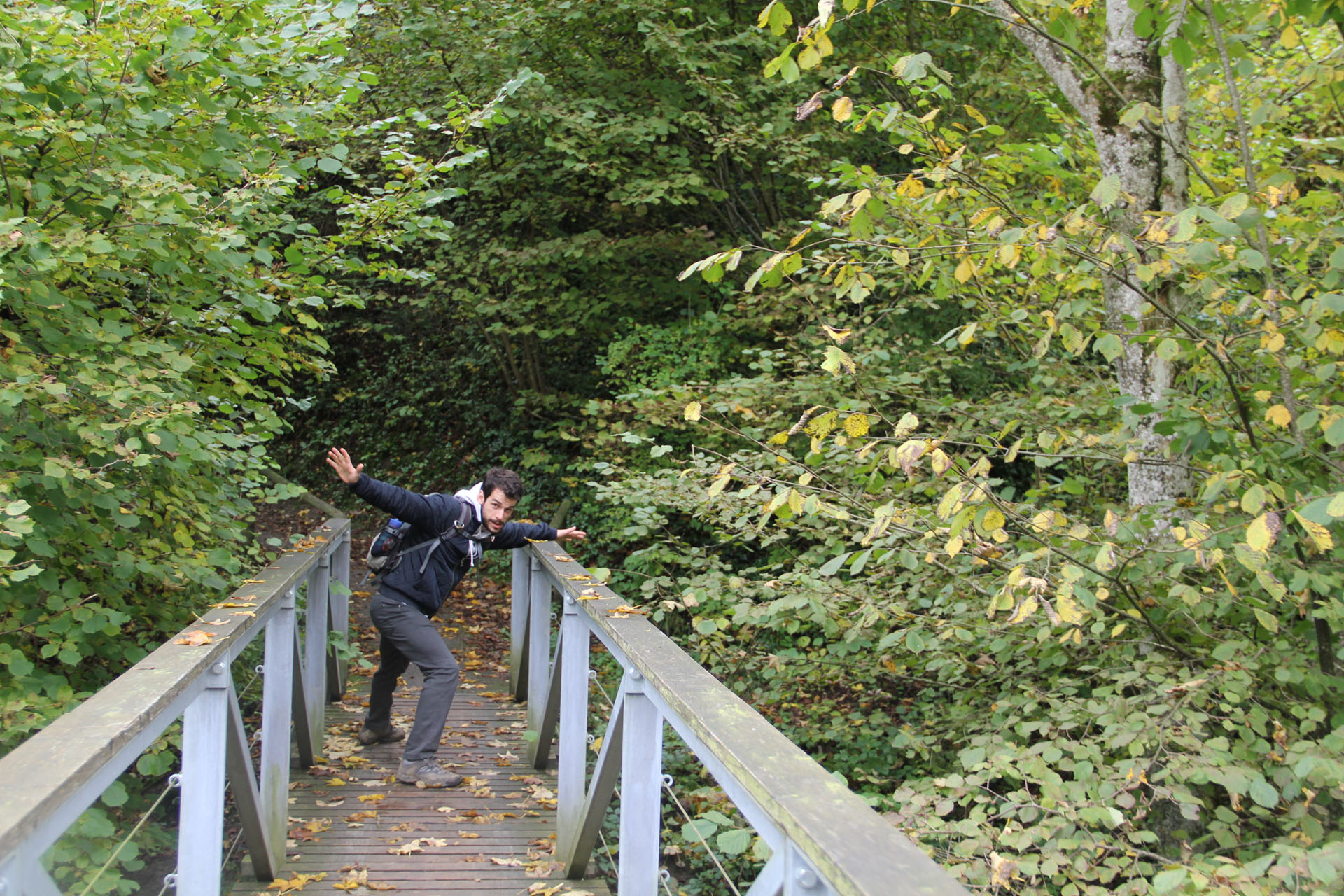 Lab hike